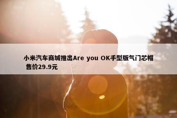 小米汽车商城推出Are you OK手型版气门芯帽 售价29.9元