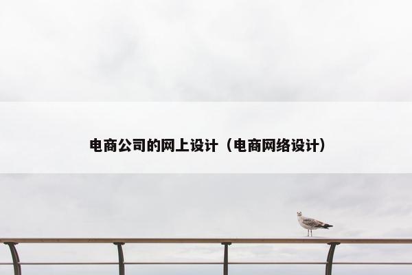 电商公司的网上设计（电商网络设计）