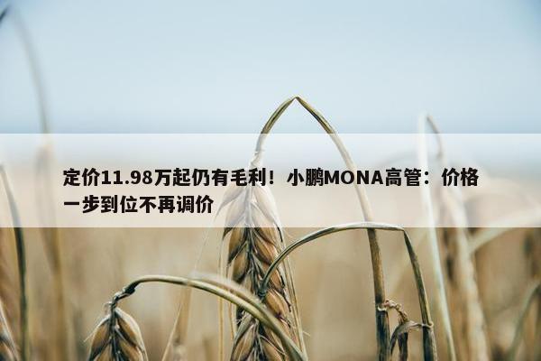 定价11.98万起仍有毛利！小鹏MONA高管：价格一步到位不再调价