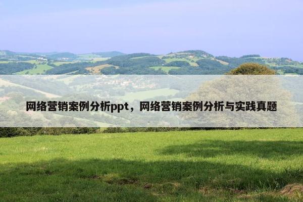 网络营销案例分析ppt，网络营销案例分析与实践真题