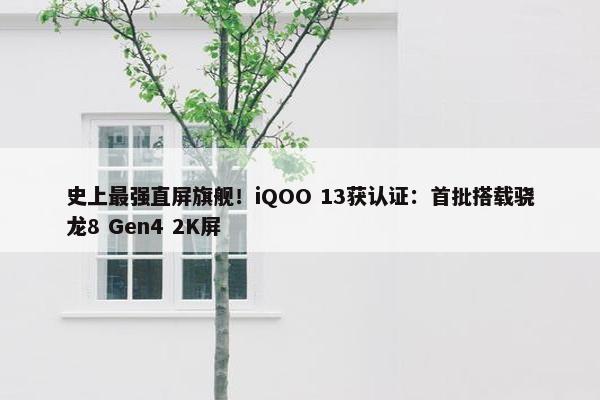 史上最强直屏旗舰！iQOO 13获认证：首批搭载骁龙8 Gen4 2K屏