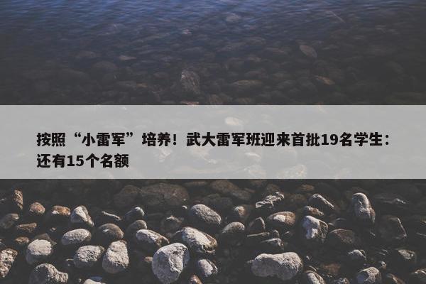 按照“小雷军”培养！武大雷军班迎来首批19名学生：还有15个名额