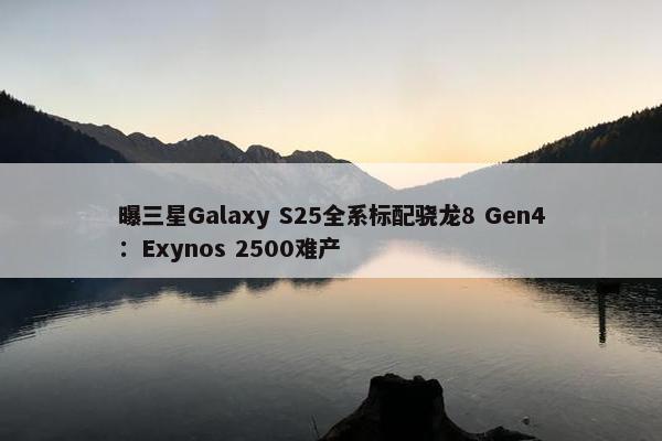 曝三星Galaxy S25全系标配骁龙8 Gen4：Exynos 2500难产