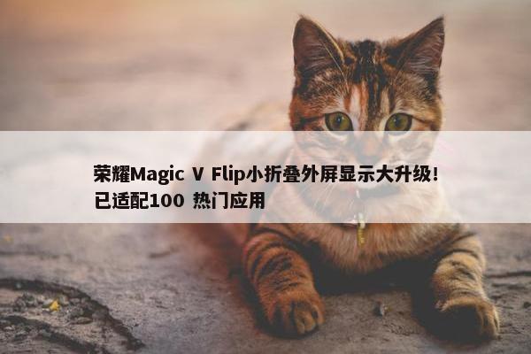 荣耀Magic V Flip小折叠外屏显示大升级！已适配100 热门应用