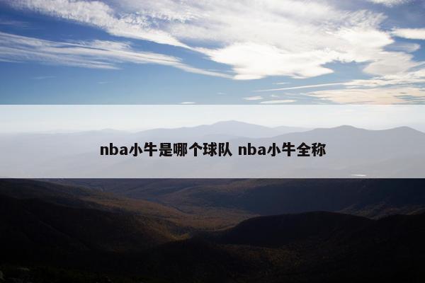 nba小牛是哪个球队 nba小牛全称