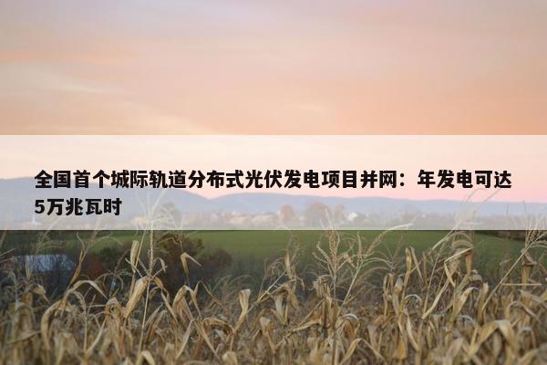 全国首个城际轨道分布式光伏发电项目并网：年发电可达5万兆瓦时