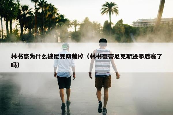 林书豪为什么被尼克斯裁掉（林书豪带尼克斯进季后赛了吗）