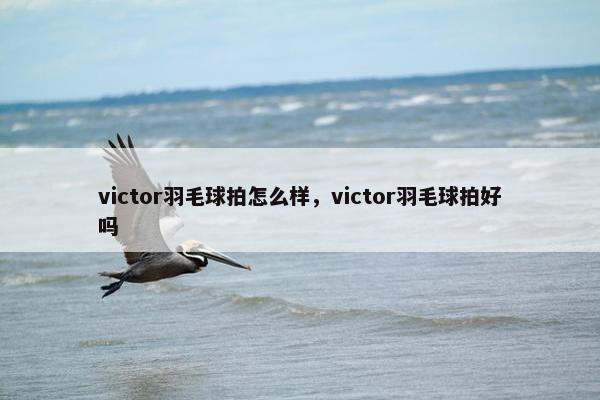 victor羽毛球拍怎么样，victor羽毛球拍好吗