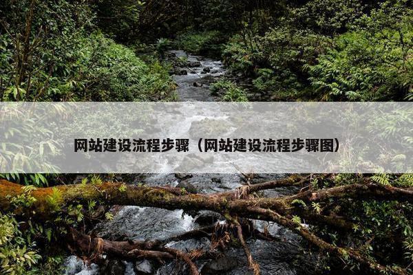 网站建设流程步骤（网站建设流程步骤图）