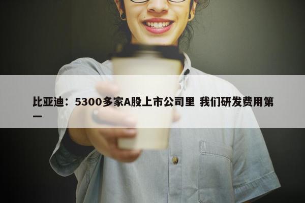 比亚迪：5300多家A股上市公司里 我们研发费用第一