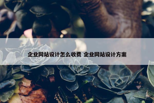 企业网站设计怎么收费 企业网站设计方案