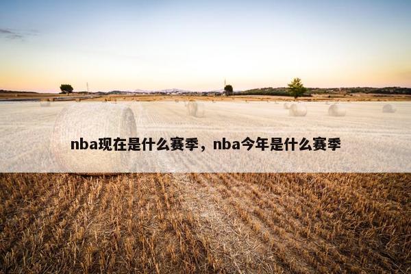 nba现在是什么赛季，nba今年是什么赛季