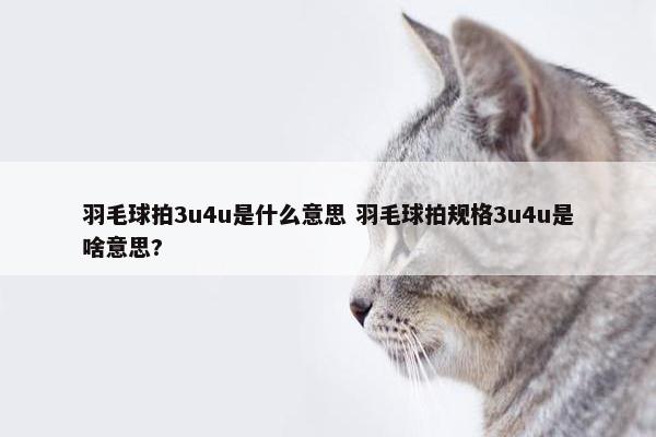 羽毛球拍3u4u是什么意思 羽毛球拍规格3u4u是啥意思?