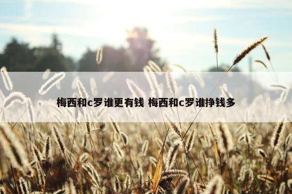 梅西和c罗谁更有钱 梅西和c罗谁挣钱多