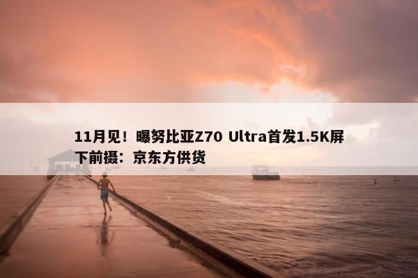 11月见！曝努比亚Z70 Ultra首发1.5K屏下前摄：京东方供货