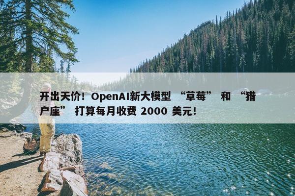 开出天价！OpenAI新大模型 “草莓” 和 “猎户座” 打算每月收费 2000 美元！