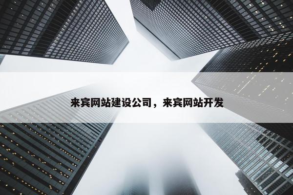 来宾网站建设公司，来宾网站开发