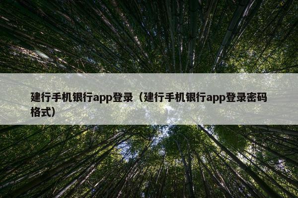 建行手机银行app登录（建行手机银行app登录密码格式）