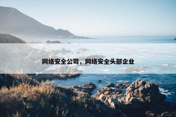 网络安全公司，网络安全头部企业