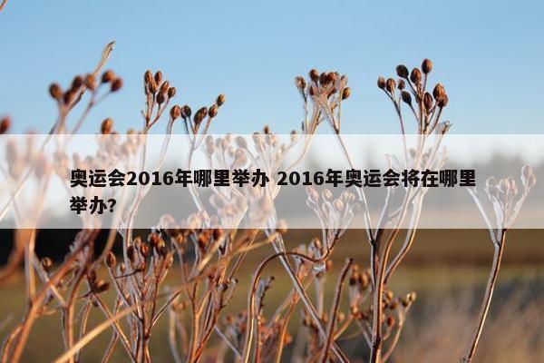 奥运会2016年哪里举办 2016年奥运会将在哪里举办?