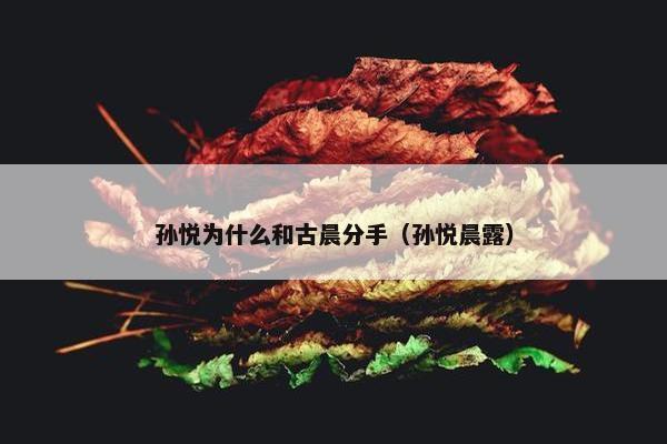 孙悦为什么和古晨分手（孙悦晨露）