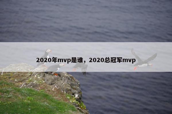 2020年mvp是谁，2020总冠军mvp