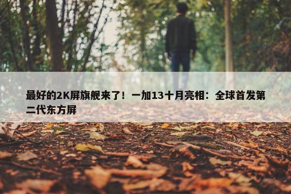 最好的2K屏旗舰来了！一加13十月亮相：全球首发第二代东方屏