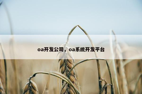 oa开发公司，oa系统开发平台