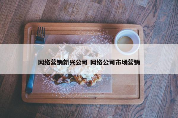 网络营销新兴公司 网络公司市场营销