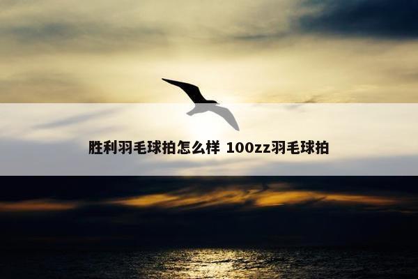 胜利羽毛球拍怎么样 100zz羽毛球拍