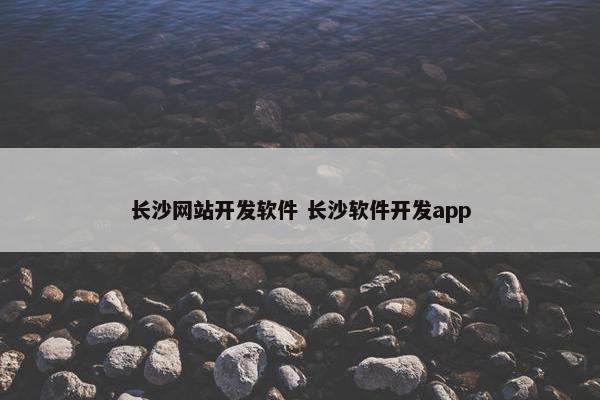 长沙网站开发软件 长沙软件开发app