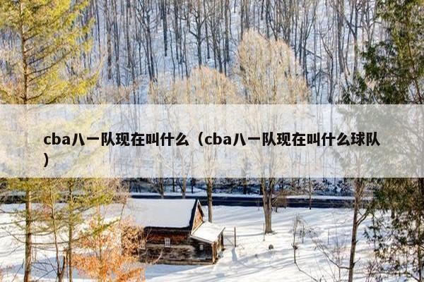 cba八一队现在叫什么（cba八一队现在叫什么球队）