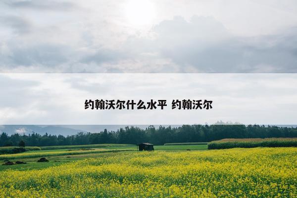 约翰沃尔什么水平 约翰沃尔