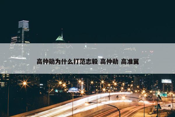 高仲勋为什么打范志毅 高仲勋 高准翼