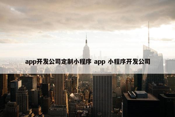 app开发公司定制小程序 app 小程序开发公司