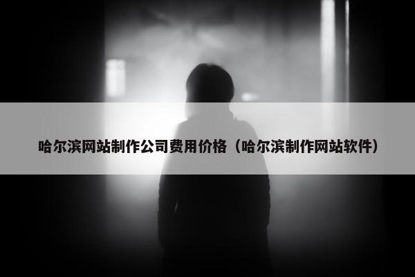 哈尔滨网站制作公司费用价格（哈尔滨制作网站软件）