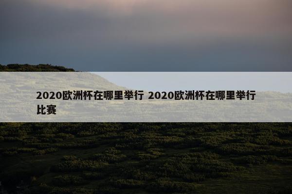 2020欧洲杯在哪里举行 2020欧洲杯在哪里举行比赛