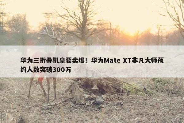 华为三折叠机皇要卖爆！华为Mate XT非凡大师预约人数突破300万