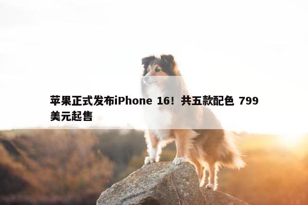 苹果正式发布iPhone 16！共五款配色 799美元起售