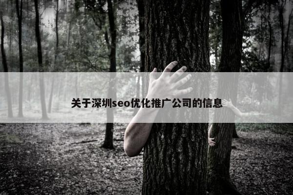 关于深圳seo优化推广公司的信息