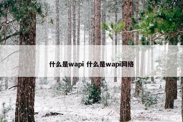 什么是wapi 什么是wapi网络