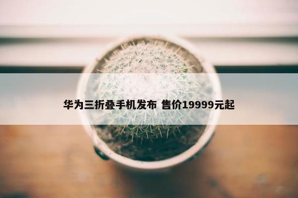 华为三折叠手机发布 售价19999元起