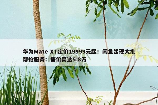 华为Mate XT定价19999元起！闲鱼出现大批帮抢服务：售价高达5.8万