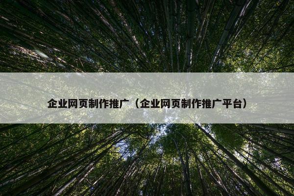 企业网页制作推广（企业网页制作推广平台）