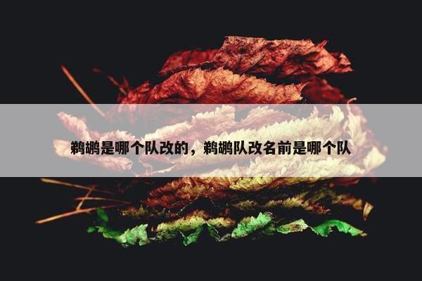 鹈鹕是哪个队改的，鹈鹕队改名前是哪个队