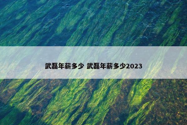 武磊年薪多少 武磊年薪多少2023