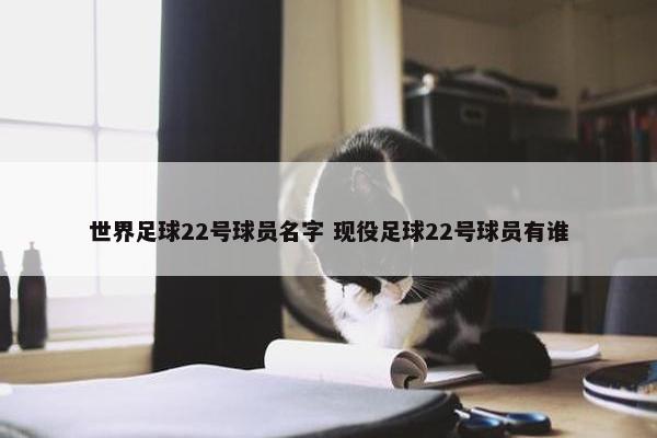 世界足球22号球员名字 现役足球22号球员有谁