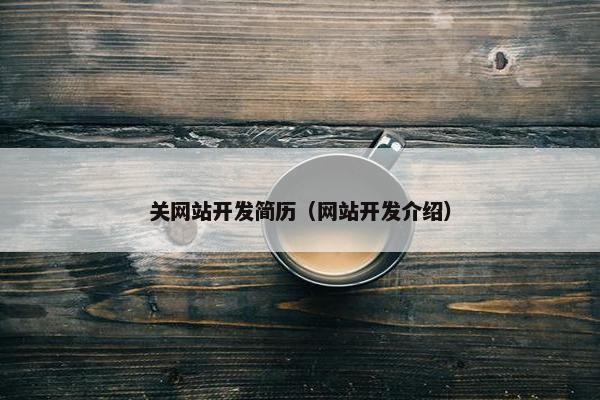 关网站开发简历（网站开发介绍）