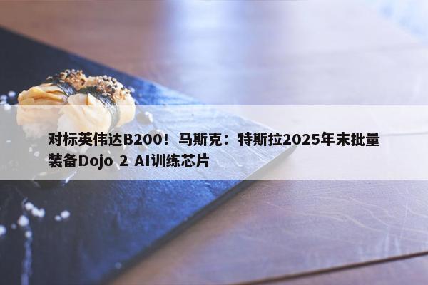 对标英伟达B200！马斯克：特斯拉2025年末批量装备Dojo 2 AI训练芯片