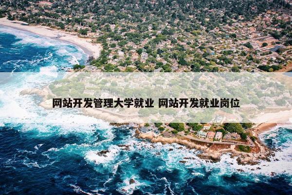 网站开发管理大学就业 网站开发就业岗位